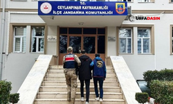 Şanlıurfa'da Yağma Suçundan Aranan Firari Yakalandı