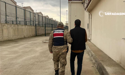 Şanlıurfa'da Cezası Onaylanan 821 Kişi Cezaevine Girdi