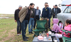 Ceylanpınar’da Cırcıp Deresi Etrafı Piknik Alanına Dönüştü