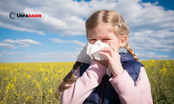 Bahar Alerjisi Çocuklarda Hapşırık Nöbetleriyle Başlayabilir
