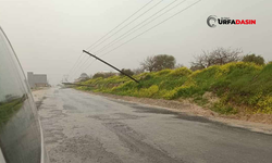 Şanlıurfa'da Elektrik Direkleri Yola Devrildi