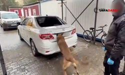 Şanlıurfa Yolundaki Araçta 6 Kilogram Kokain Bulundu: 1 Tutuklama