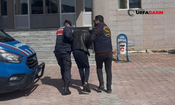 Şanlıurfa'da Dolandırıcı "Sahte Komiserlere" Operasyon: 2 Tutuklama
