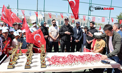 Eyyübiyeli Çocuklar 23 Nisan Futbol Turnuvasında Bir Araya Geldi