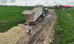Şanlıurfa Kırsalında Yollar Yenilenerek Daha Güvenli Oluyor