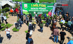 Şanlıurfa'da Üreticiye 1 Milyon Sebze Fide Dağıtıldı