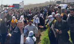 Öcalan'ın Doğum Günü Doğduğu Halfeti Ömerli Köyünde Kutlanıyor