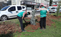 Haliliye’de Baharla Birlikte Parklarda Hummalı Çalışma Başlatıldı