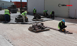 Haliliye’de Yol Yapım Çalışmaları Ara Vermeden Devam Ediyor