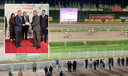 Şanlıurfa'da Harran Üniversitesi Koşusu’nu Kazanan At Belli Oldu