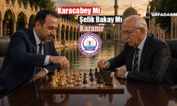 Şanlıurfa’daki Bu Seçimde Kim Şah Kim Mat Olacak