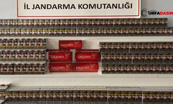 Şanlıurfa Viranşehir’de 4 bin 900 Paket Kaçak Sigara Ele Geçirildi