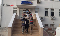 Şanlıurfa'da Göçmen Kaçakçılığı Organizatörlerine Operasyon: 18 Gözaltı