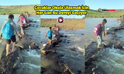 Tehlikeli Okul Yolları: TRT Belgeseli Değil Şanlıurfa'da Bir Okul Yolu