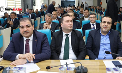 Sinan Korkmaz, Halfeti’nin Taleplerini Büyükşehir Meclisinin Gündemine Taşıdı