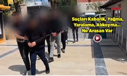 Şanlıurfa Merkezli 3 İlde Suç Örgütü Operasyonu: 5 Tutuklama