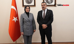 Milletvekili Yazmacı Açıkladı: Milli Eğitim Bakanı Yusuf Tekin Şanlıurfa'ya Gelecek