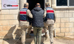 Şanlıurfa'da 8 Yıl Hapis Cezasıyla Aranan Firari Yakalandı