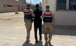 Şanlıurfa'da Firari Göçmen Kaçakçısı Yakayı Ele Verdi