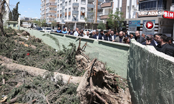 Başkan Gülpınar Birecik’te Çalışmaları İnceledi, Esnafla Bir Araya Geldi