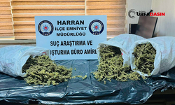 Şanlıurfa'da Zehir Taciri 8 Kilo Esrar ile Yakalandı, Tutuklandı