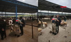Şanlıurfa’da Kurban Pazarlarında Jandarmadan Üst Düzey Önlem