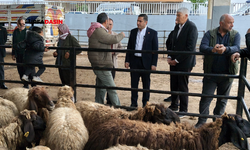 CHP Şanlıurfa İl Başkanı Karadağ: “Hayvan Pazarında Tablo Endişe Verici”