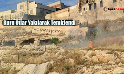 Şanlıurfa Kızılkoyun Mağaraları Kurumuş Otlardan Temizlendi