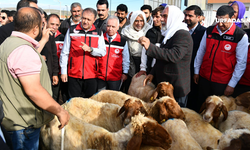Şanlıurfa Valisi Hasan Şıldak Yaklaşan Kurban Bayramı Öncesi Hayvan Pazarını Ziyaret Etti