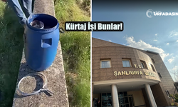 Şanlıurfa Mezarlığındaki Olayla İlgili Valilik Adli ve İdari İşlem Başlattı