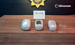 Şanlıurfa'da 2 Araçta Skunk Ele Geçirildi: 4 Zehir Taciri Yakalandı