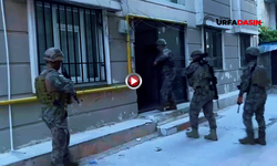 Şanlıurfa'da Lideri Cezaevinde Bulunan Suç Örgütüne Operasyon: 21 Gözaltı