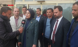 AK Parti Şanlıurfa Milletvekili Yazmacı Fırtınanın Vurduğu Bölgede TRT Kürdi'ye Konuştu