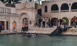 Balıklıgöl'e Ağ Atıp Balık Mı Tutuyorlar ?