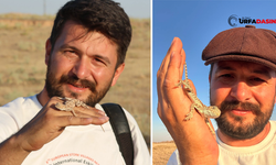 Yaban Hayatı Fotoğrafçısı Alper Tüydeş, Şanlıurfa’da Çöl Varanı Yavrusuyla Poz Verdi
