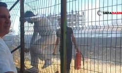 Şanlıurfa'da Anız Yangınlarının Önü Alınamıyor Bu Kez Az Kalsın Bir Okula Sıçrayacaktı
