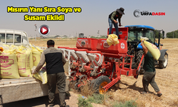 Şanlıurfa’de Anıza Doğrudan Ekim Projesinin Alanı Genişletildi
