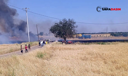 Şanlıurfa'da Arazi Yangınlarına Yenisi Eklendi: Buğday Tarlası Yandı