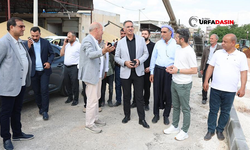 Şanlıurfa'da Buğday Pazarı Yeşil Alana Kavuşuyor