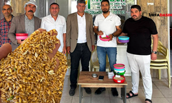 Şanlıurfa'da Buğday Pazarlarına Sezonun İlk Buğdayları Gelmeye Başladı