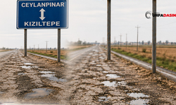 Şanlıurfa'nın Ceylanpınar İle Mardin'in Kızıltepe Arasındaki Yol "Yeter Artık" Dedirtiyor