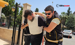 Şanlıurfa'da Ölü Bulunan 4 Çocuk Annesi, Kocası Tarafından Öldürülmüş