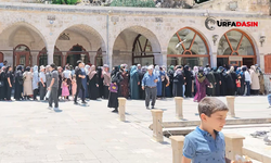 Şanlıurfa'da LGS Öncesi Balıklıgöl ve Dergah'a Akın Etti