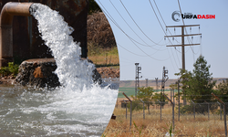 Şanlıurfa'da Borçlu Tarımsal Sulama Abonelerine Uyarı: Elektrik Verilmeyecek!