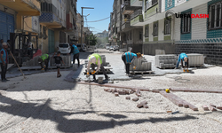Eyyübiye’de Yol Yapım Seferberliği Hızlandı