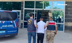 Şanlıurfa'da 25 Yıl Hapis Cezası Bulunan Firari Operasyonla Yakalandı