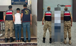 Şanlıurfa'da Hapis Cezası Bulunan Suçlular Yakalandı