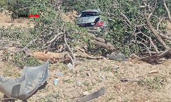 Şanlıurfa'da Otomobil Fıstık Bahçesine Uçtu: Sürücü Yaralandı