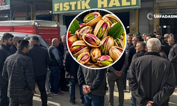 Nizip'teki Toptancının Fıstık Vurgunu Şanlıurfa'daki Üreticileri Tedirgin Etti
