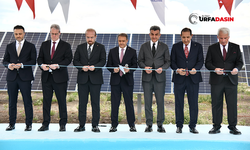 Şanlıurfa'da 400 MW Güce Sahip GES Sahası'nın Açılışı Gerçekleştirildi